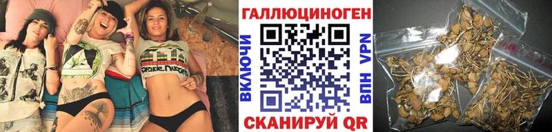 где можно купить наркотик Ряжск Псилоцибиновые грибы прущие грибы